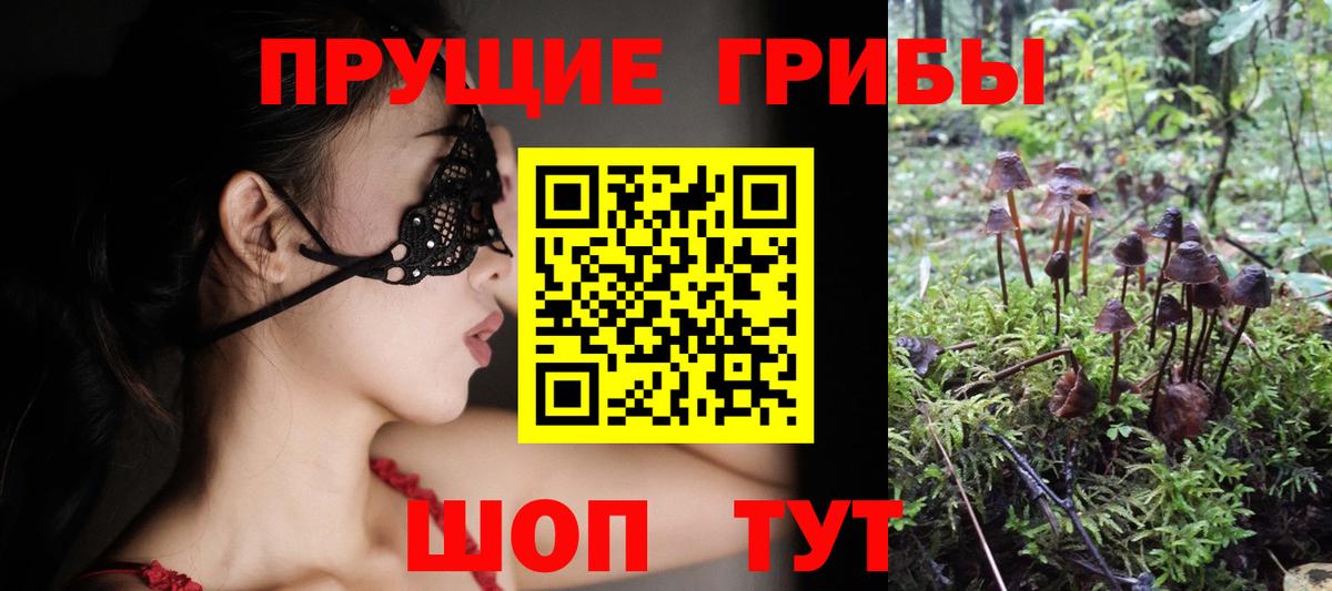 Иркутск  Галлюциногенные грибы прущие грибы  Вход с VPN 