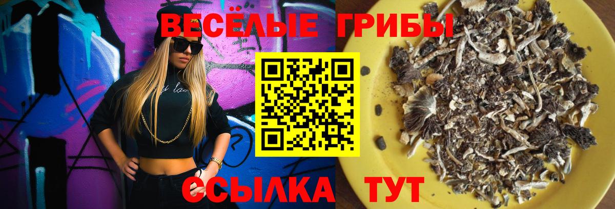 Галлюциногенные грибы GOLDEN TEACHER Иркутск