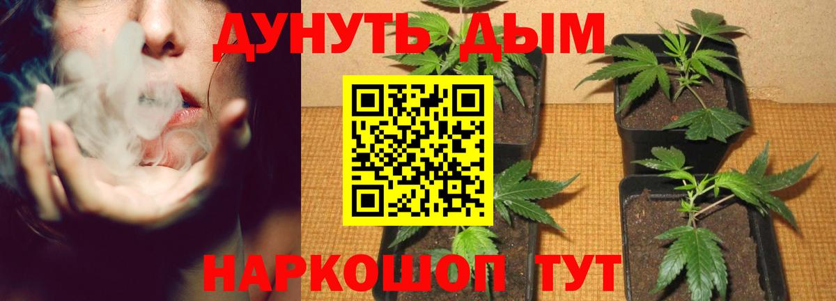 Шишки марихуана семена Иркутск